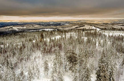 Bästa gastronomi & hotell i Värmland