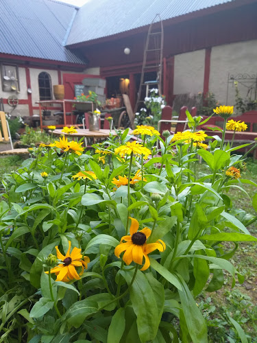 Comentarii opinii despre Butik GUL i Kölleröd