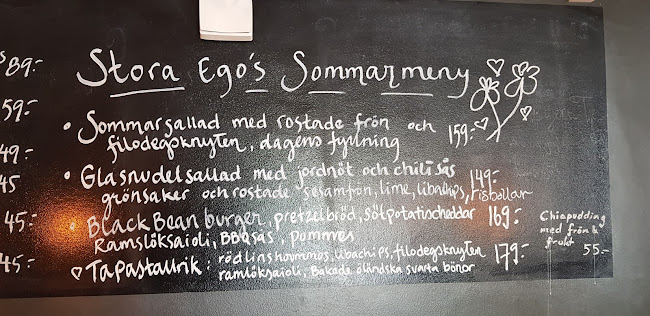 Comentarii opinii despre Stora Ego