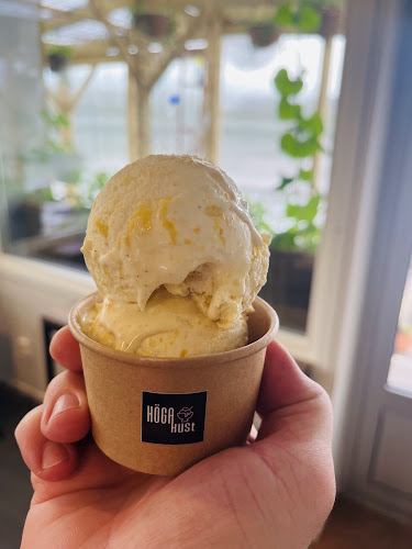 Opinii despre HÖGAkust glass în Örnsköldsvik - Gastronomi och hotellverksamhet