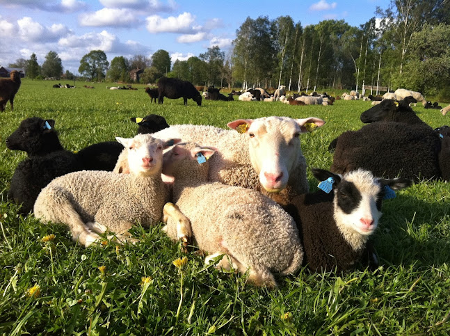 Jannelunds Gård - Mullhyttan