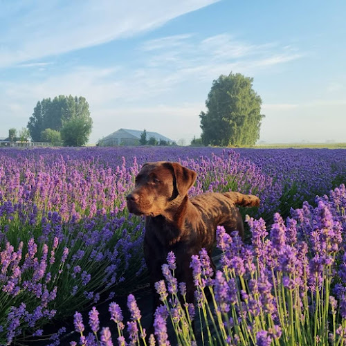 Österlenkryddor - Gastronomi och hotellverksamhet