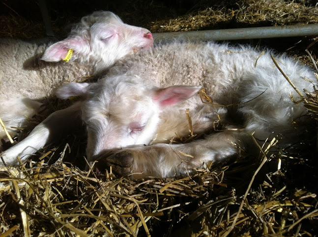 SÖDRA ÖVRATORP 3328, 716 91 Fjugesta, 716 94 Mullhyttan