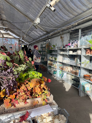 Opinii despre Herbarium mat & bar în Stockholm - Gastronomi och hotellverksamhet