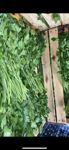 Bariumgatan 15, 213 64 Malmö