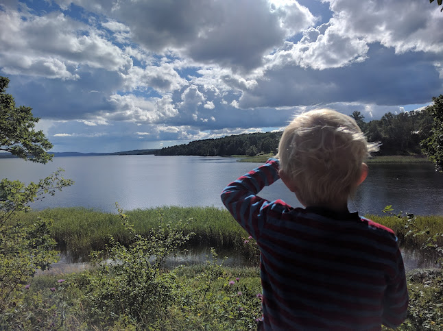 Reviews of Lindelöv Gräfsnäs slottscafé in Sollebrunn - Gastronomi och hotellverksamhet