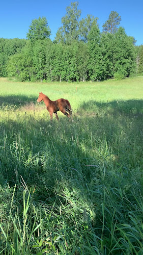 Stora Lunån Gårdscafé Open Times