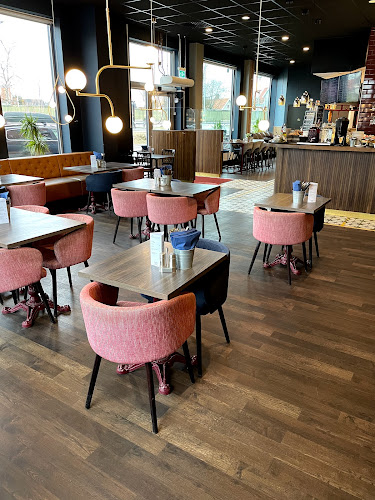 Alessandros svampen - Örebro