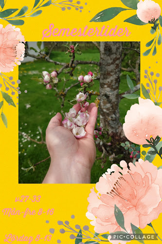 Opinii despre Estvalls Bageri & Konditori AB în Moheda - Gastronomi och hotellverksamhet