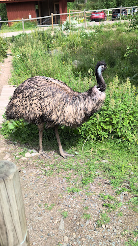 LUNÅN 113, 791 92 Falun