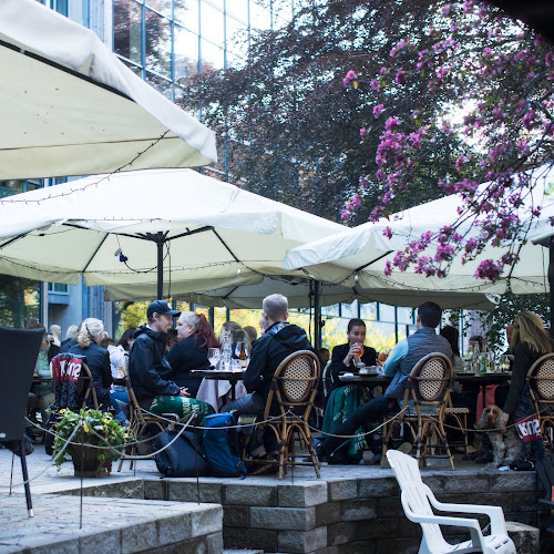 Pivo - Passion för vilt