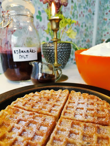 Comentarii opinii despre RÅG