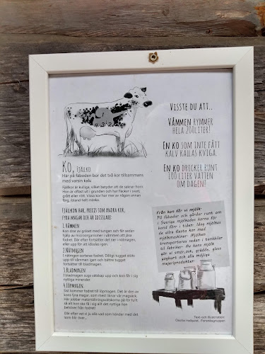 Fäboden i Säterdalen