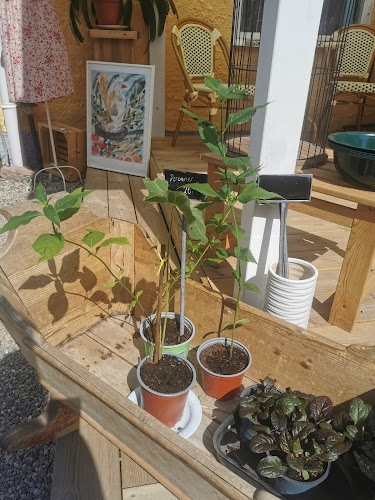 Huset i Hällby - Eskilstuna