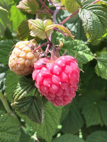 Silvhögsvägen 33, 277 36 Vitaby