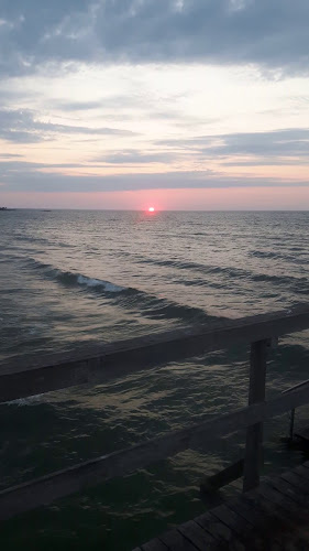 Reviews of Sinus Bar & Strandrestaurang in Köping - Gastronomi och hotellverksamhet