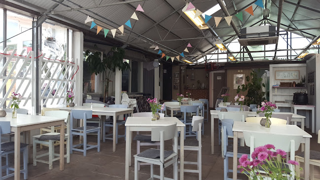 Café Blomma Phone number