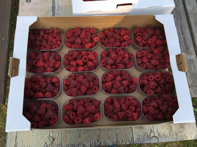 Grevlunda Bär o Vingård - Gastronomi och hotellverksamhet