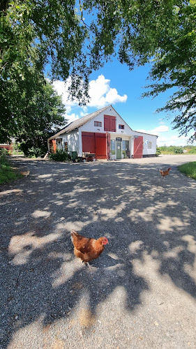 Comments and reviews of Hemdala gårdsbutik