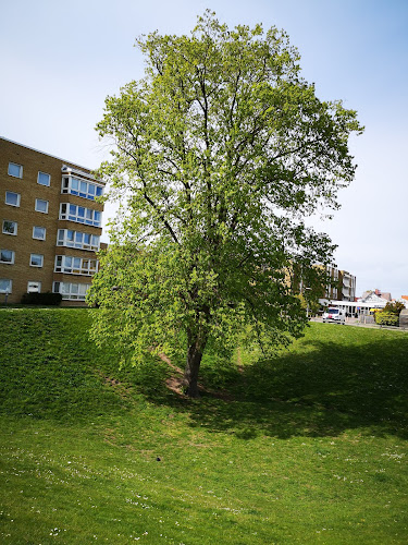 Cellos Glassbar - Limhamn