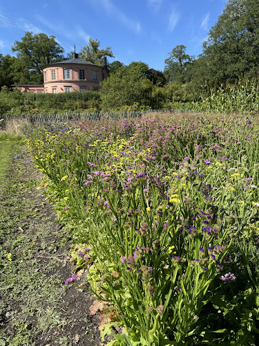 Comentarii opinii despre Rosendals Trädgårdskafé