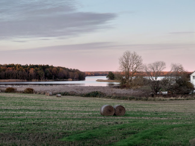 Majas Klostercafé - Gastronomi och hotellverksamhet