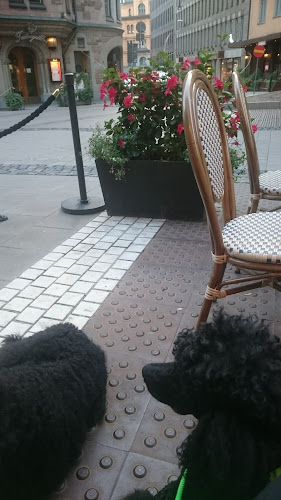 Comments and reviews of Frippe