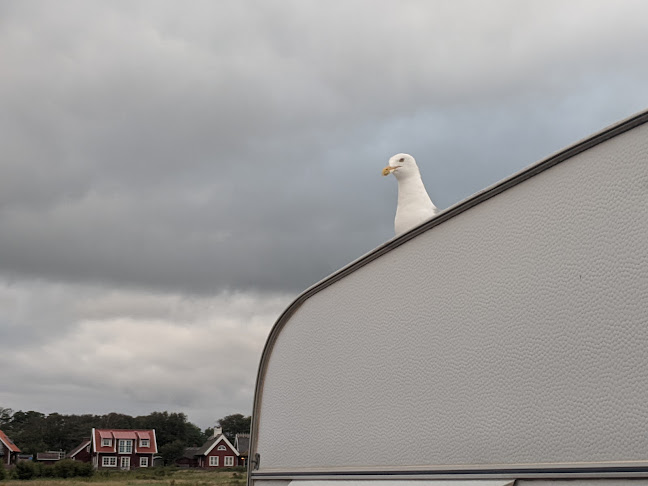 London Bus Catering Open Times