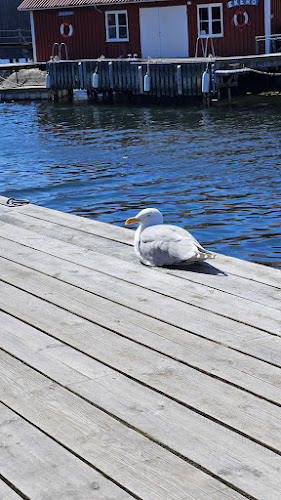 Opinii despre Kapten krok în Skärhamn - Gastronomi och hotellverksamhet