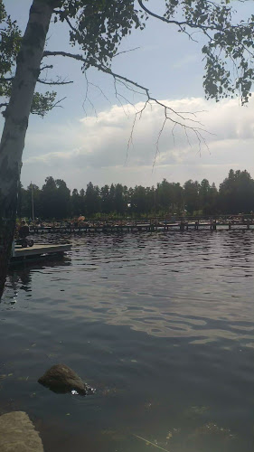 Måns-olsvägen 100, 733 36 Sala