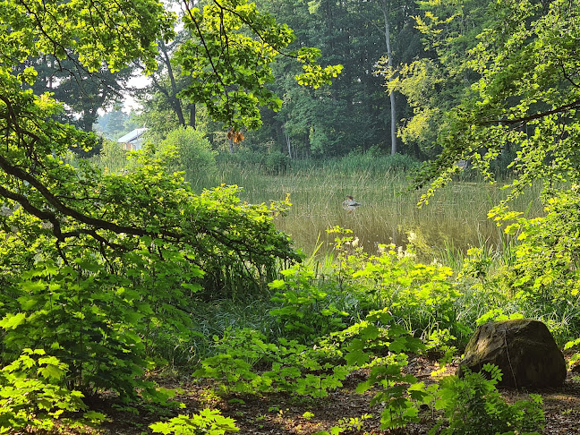 Café Villa Björkås - Gastronomi och hotellverksamhet