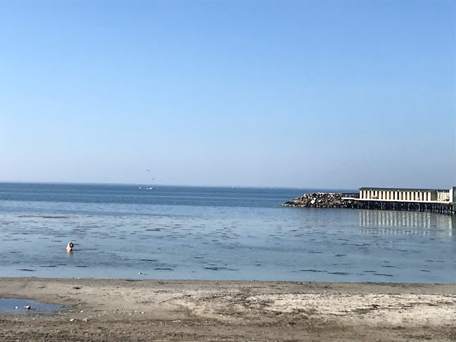 Reviews of Strandkiosken in Malmö - Gastronomi och hotellverksamhet