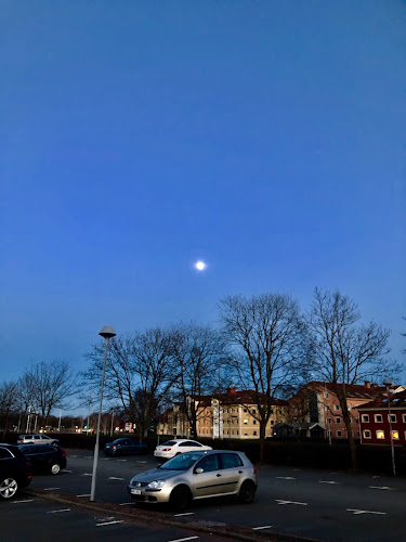 Restaurang Fredholms Phone number