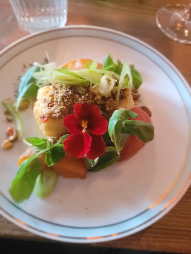 Comentarii opinii despre Bodegan