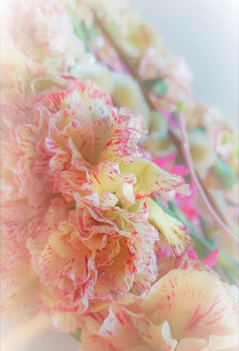 Blommica - Linköping