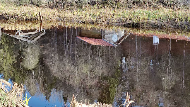 Comentarii opinii despre Fäboden i Säterdalen