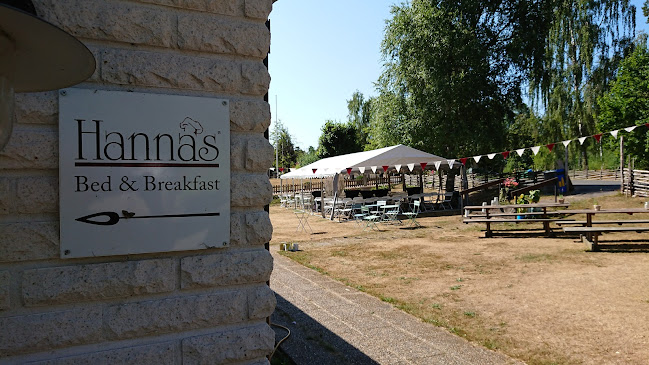 Comentarii opinii despre Hanna's