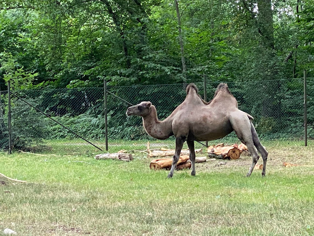 Comentarii opinii despre Kvarnstugan