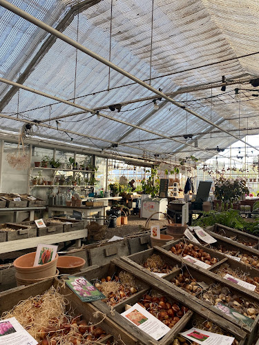 Herbarium mat & bar - Stockholm