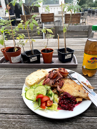 Salong Juni - Gastronomi och hotellverksamhet