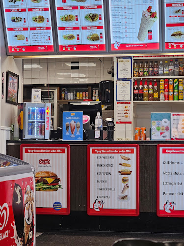 Comentarii opinii despre Vipsgrillen