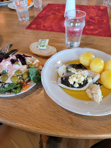 Gröna Hästen - Gastronomi och hotellverksamhet