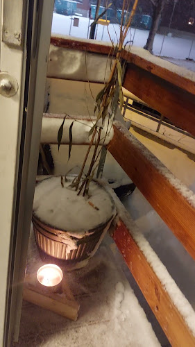 Al Jazeera familjeförening Phone number