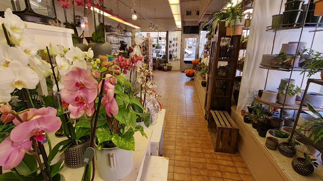 Hummelgrens Blomsterhandel - Blommor Norrköping Open Times