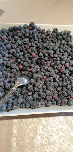 Hörrs byaväg 272, 275 92 Sjöbo