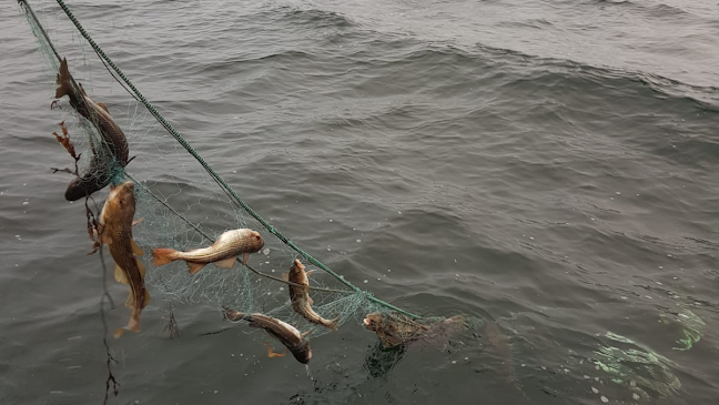 Banérskajen 13, 211 18 Malmö