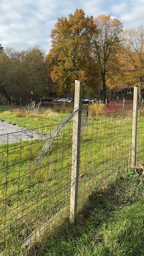 Opinii despre Rosendals Trädgårdskafé în Stockholm - Gastronomi och hotellverksamhet