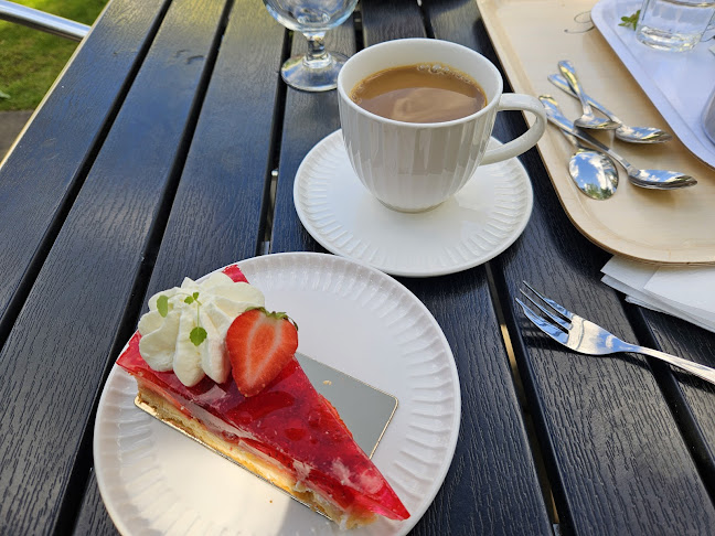 Comentarii opinii despre Conditori Nordpolen AB