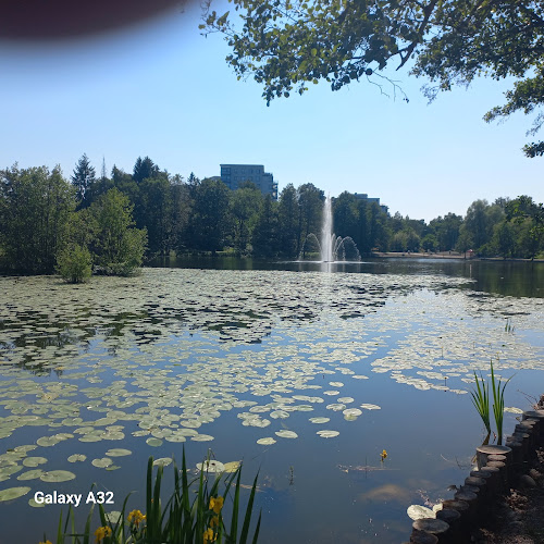 Gröna Stugan - Gastronomi och hotellverksamhet