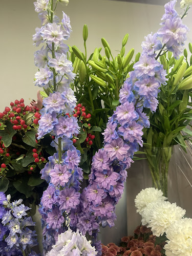 Blomsterjouren - Blommor Vasastan - Gastronomi och hotellverksamhet